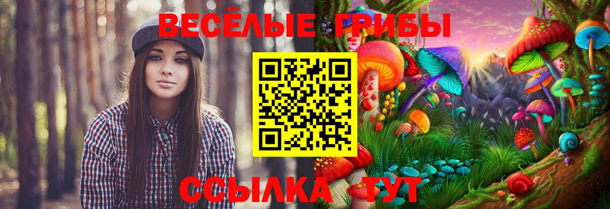 Галлюциногенные грибы прущие грибы Заринск