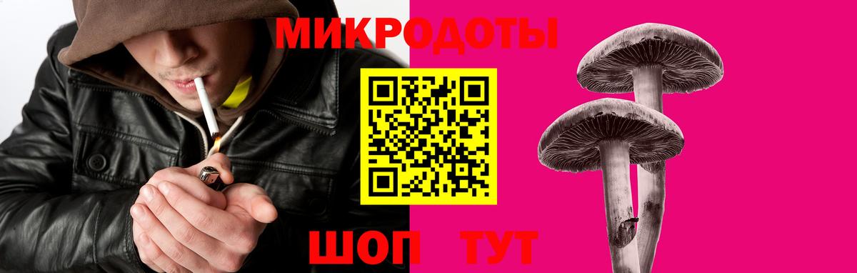 сколько стоит  Псилоцибиновые грибы MAGIC MUSHROOMS  Вход с VPN  Заринск 